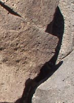 frank andrews / sculptor